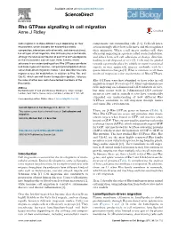 Rho Gtpase Signalling in Cell Migration