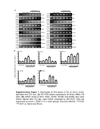 Supplementary Figure 1. Expression of Wnt Genes in SC of Naïve