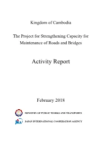 Activity Report