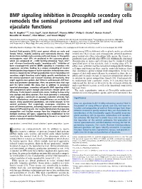 BMP Signaling Inhibition in Drosophila Secondary Cells Remodels the Seminal Proteome and Self and Rival Ejaculate Functions