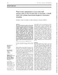 Functional Organisation of Saccades and Antisaccades in the Frontal Lobe in Humans: a Study with Echo Planar Functional Magnetic Resonance Imaging