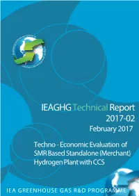 Techno-Economic Evaluation of SMR Based Standalone (Merchant) Plant with CCS”, 2017/02, February, 2017.’