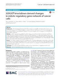 SOX2OT Knockdown Derived Changes in Mitotic Regulatory Gene Network