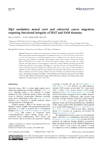 Elp3 Modulates Neural Crest and Colorectal Cancer Migration Requiring Functional Integrity of HAT and SAM Domains