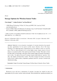 Energy Options for Wireless Sensor Nodes