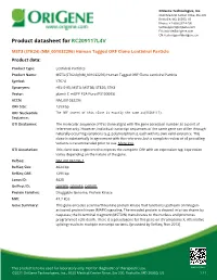 MST3 (STK24) (NM 001032296) Human Tagged ORF Clone Lentiviral Particle Product Data