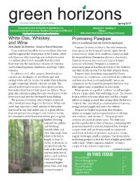 Green Horizons (PDF Version