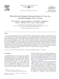 Molecular and Biological Characterization of a Cypovirus from the Mosquito Culex Restuans