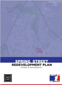 SPRING STREET REDEVELOPMENT PLAN - Phase 3 Amendment - ACKNOWLEDGEMENTS