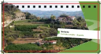 Variante Cerretto Langhe – Arguello