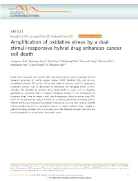 Amplification of Oxidative Stress by a Dual Stimuli-Responsive Hybrid Drug