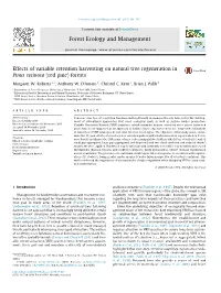 Effects of Variable Retention Harvesting on Natural Tree Regeneration in Pinus Resinosa (Red Pine) Forests ⇑ Margaret W
