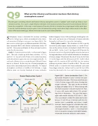 Stratospheric Ozone Is Destroyed by Reactions Involving
