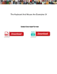 The Keyboard and Mouse Are Examples Of