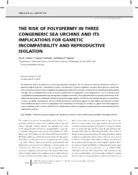 The Risk of Polyspermy in Three Congeneric Sea Urchins and Its Implications for Gametic Incompatibility and Reproductive Isolation