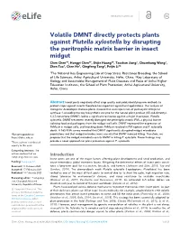 Volatile DMNT Directly Protects Plants Against Plutella Xylostella By