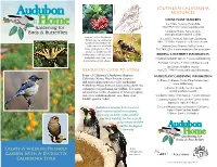 Create a Wildlife-Friendly Garden with a Distinctly California Style
