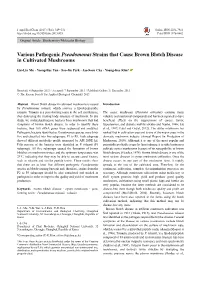 Various Pathogenic Pseudomonas Strains That Cause Brown Blotch Disease in Cultivated Mushrooms
