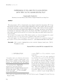 Expression of P2x3 and Its Colocalization with Trpv1 in the Human Dental Pulp