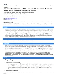 Semi-Quantitative Detection of RNA-Dependent RNA Polymerase Activity of Human Telomerase Reverse Transcriptase Protein