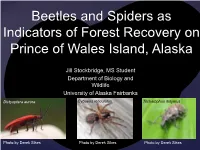 Beetles and Spiders As Indicators of Forest Recovery on Prince of Wales Island, Alaska