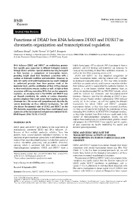 Functions of DEAD Box RNA Helicases DDX5 and DDX17 in Chromatin Organization and Transcriptional Regulation