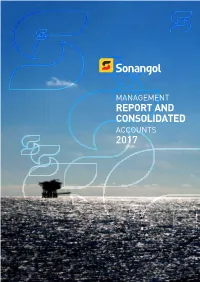 Report and Consolidated 2017