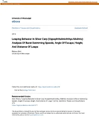 Leaping Behavior in Silver Carp (Hypophthalmichthys Molitrix): Analysis of Burst Swimming Speeds, Angle of Escape, Height, and Distance of Leaps