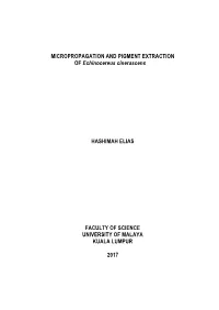 MICROPROPAGATION and PIGMENT EXTRACTION of Echinocereus Cinerascens HASHIMAH ELIAS FACULTY of SCIENCE UNIVERSITY of MALAYA KUALA