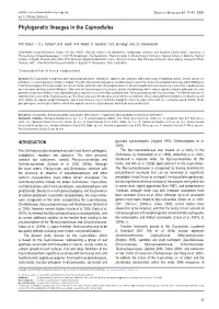 Phylogenetic Lineages in the Capnodiales
