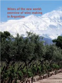 Wines of the New World: Overview of Wine Making in Argentina