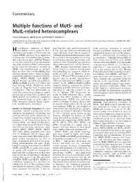 And Mutl-Related Heterocomplexes