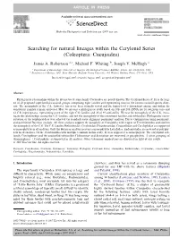 Searching for Natural Lineages Within the Cerylonid Series (Coleoptera: Cucujoidea)