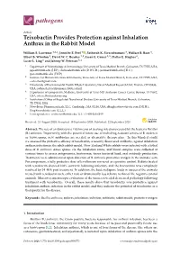Teixobactin Provides Protection Against Inhalation Anthrax in the Rabbit Model