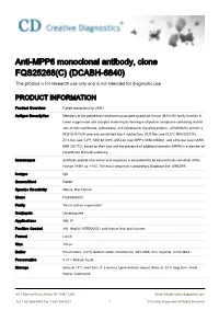 Anti-MPP6 Monoclonal Antibody, Clone FQS25268(C) (DCABH-6840) This Product Is for Research Use Only and Is Not Intended for Diagnostic Use