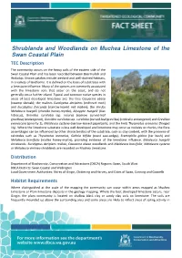 Muchea Limestone of the Swan Coastal Plain