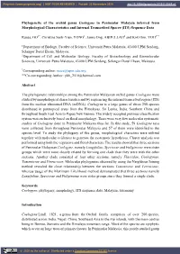 Phylogenetic of the Orchid Genus Coelogyne in Peninsular Malaysia Inferred from Morphological Characteristics and Internal Transcribed Spacer (ITS) Sequence Data