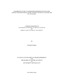 The Impacts of the Younger Dryas Period on Plant and Animal Food Resources of the Ancient Natufian Culture and the Economy