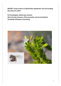 5.4 Insect Visitors to Marianthus Aquilonaris and Surrounding Flora
