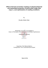 Effect of Forced Convection Roasting on Physicochemical and Antioxidant Properties of Whole Grain Maize (Zea Mays L.) and Optimisation of Roasting Conditions