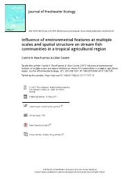 Influence of Environmental Features at Multiple Scales and Spatial Structure on Stream Fish Communities in a Tropical Agricultural Region