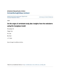 On the Origin of Vertebrate Body Plan: Insights from the Endoderm Using the Hourglass Model
