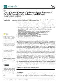 Comprehensive Metabolite Profiling in Genetic Resources of Garlic
