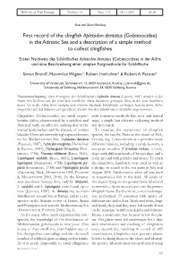 First Record of the Clingfish Apletodon Dentatus (Gobiesocidae) in The