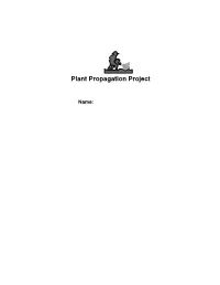 Plant Propagation Project