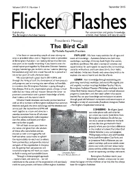 The Bird Call