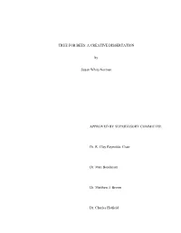 True for Bees: a Creative Dissertation