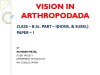 Vision in Arthropodada