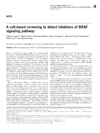 A Cell-Based Screening to Detect Inhibitors of BRAF Signaling Pathway