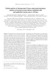 Global Analysis of Chromosome X Gene Expression in Primary Cultures of Normal Ovarian Surface Epithelial Cells and Epithelial Ovarian Cancer Cell Lines